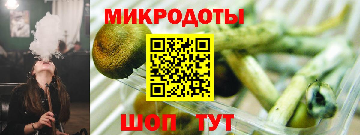 Сердобск  Псилоцибиновые грибы Psilocybe  где найти   Вход с VPN 